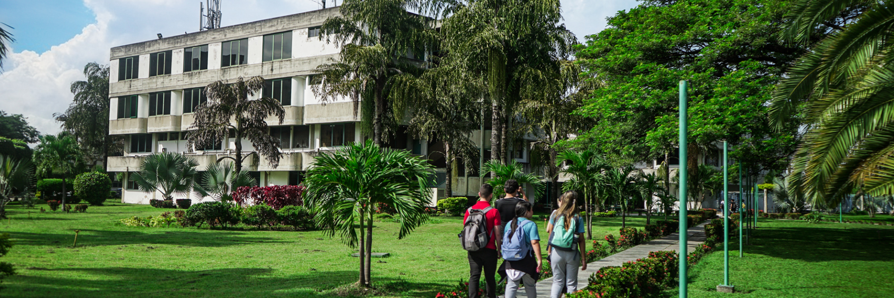 Universidad Bicentenaria de Aragua | Línea de investigación