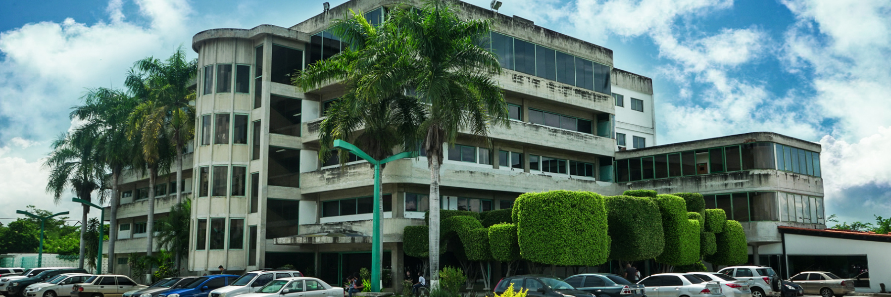 Universidad Bicentenaria de Aragua | Sistemas Multimodales