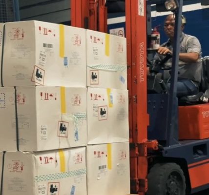 Venezuela recibió de Rusia 226.000 dosis de vacuna contra la fiebre amarilla