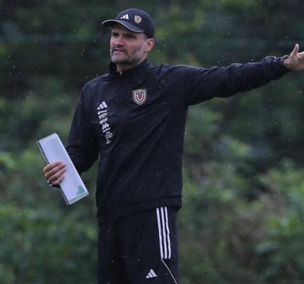 Vizcarrondo podría ser el técnico interino de la Vinotinto