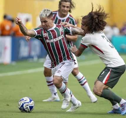 El Sumario