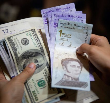 economía venezolana - bolívares y dólares