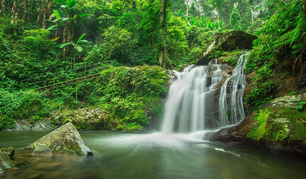 Hjalmar Jesus Gibelli Gómez | El Milagro Invisible: Por Qué tu Grifo Depende de la Niebla de los Andes