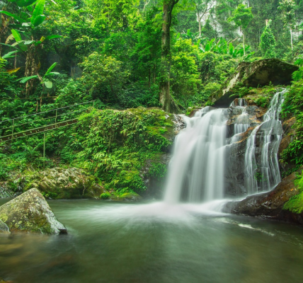 Hjalmar Jesus Gibelli Gómez | El Milagro Invisible: Por Qué tu Grifo Depende de la Niebla de los Andes
