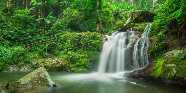Hjalmar Jesus Gibelli Gómez | El Milagro Invisible: Por Qué tu Grifo Depende de la Niebla de los Andes