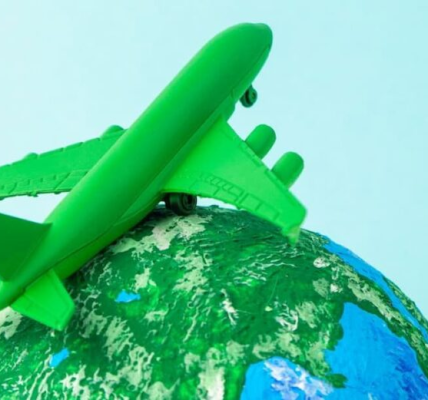 José Leggio Cassara | Logística de "Corredores Verdes"