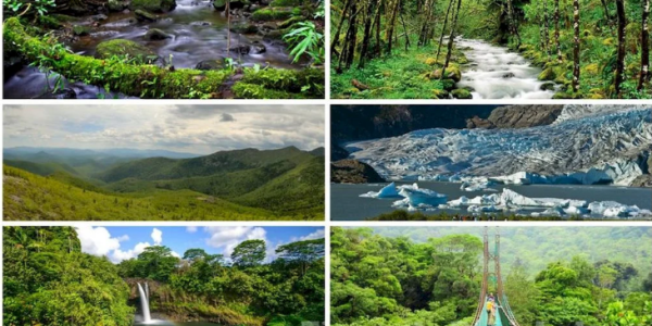 Ecosistemas de Venezuela: Diversidad y Biodiversidad por Hjalmar Jesús Gibelli Gómez