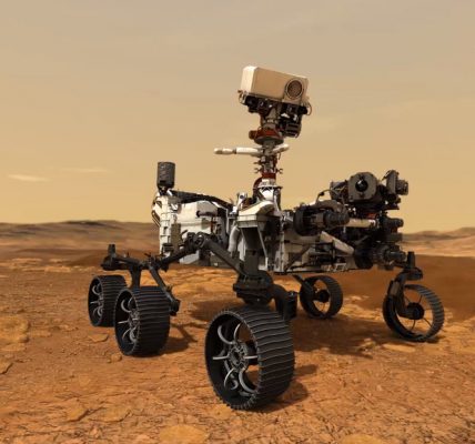 Las fotos más populares de Martes en 2021