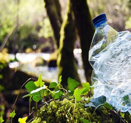 Treseus - ¡Entérate! Plásticos biodegradables; Qué son ¡Tipos y ventajas! - FOTO