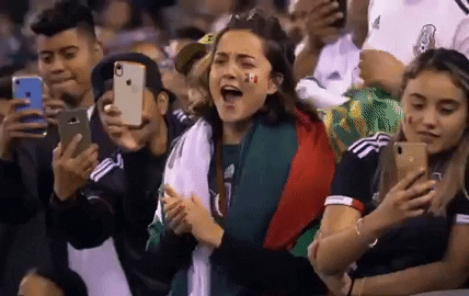 aficionada mexicana en el estadio alentando a México en el partido contra Alemania.- Blog Hola Telcel